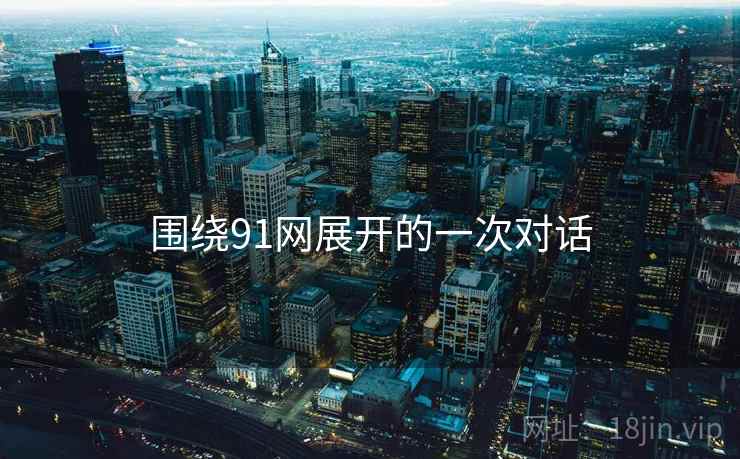 围绕91网展开的一次对话