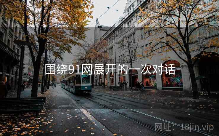 围绕91网展开的一次对话  第2张