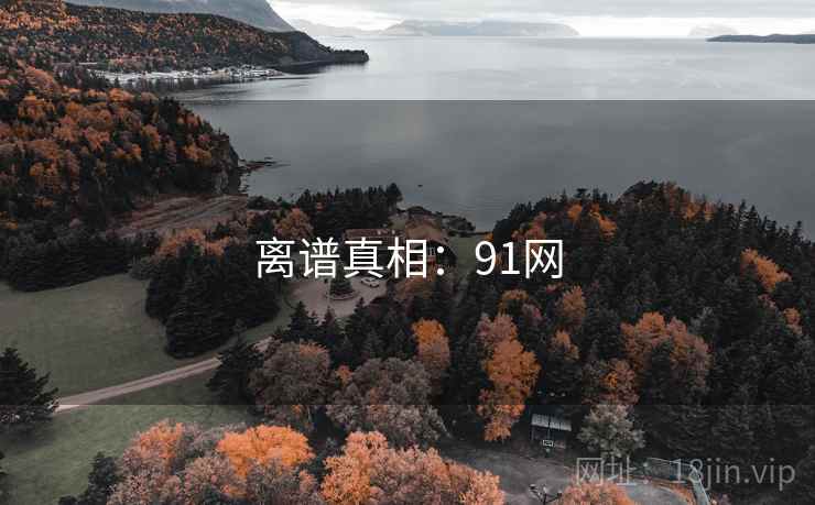 离谱真相：91网