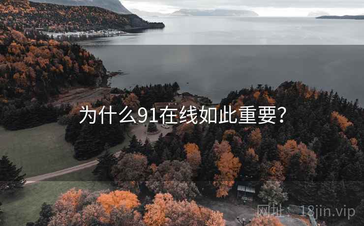 为什么91在线如此重要？