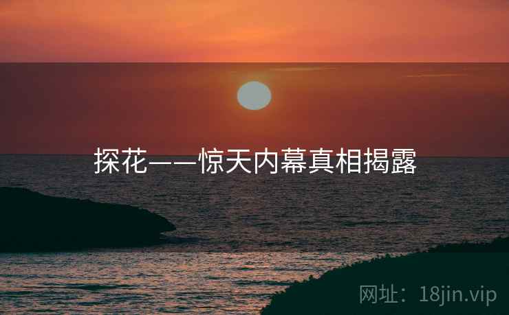 探花——惊天内幕真相揭露