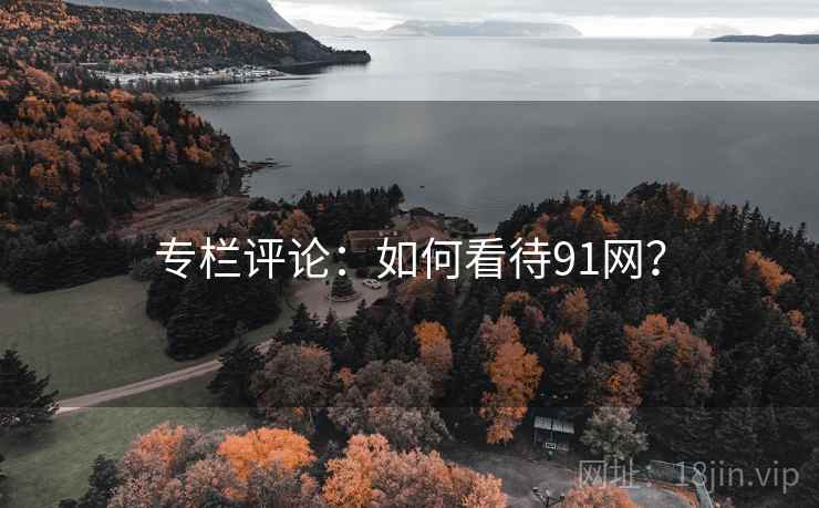 专栏评论：如何看待91网？  第1张