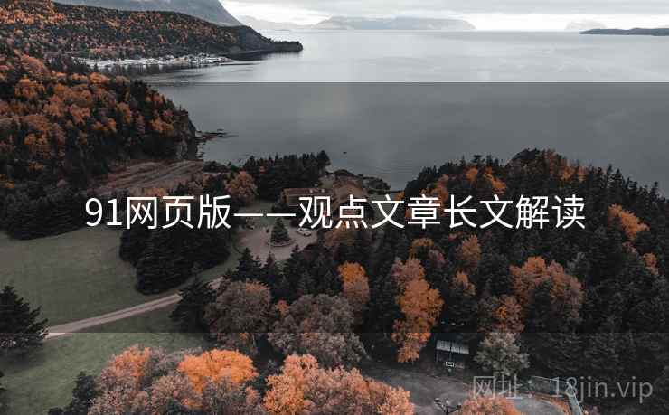 91网页版——观点文章长文解读