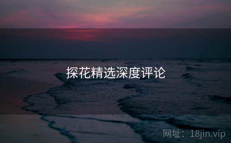探花精选深度评论