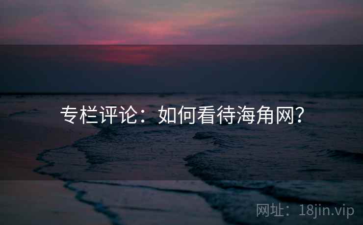 专栏评论：如何看待海角网？