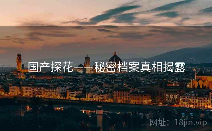 国产探花——秘密档案真相揭露