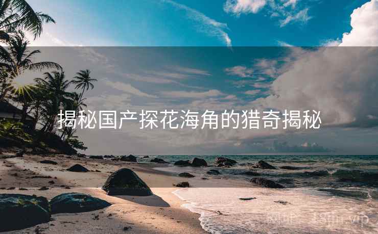 揭秘国产探花海角的猎奇揭秘