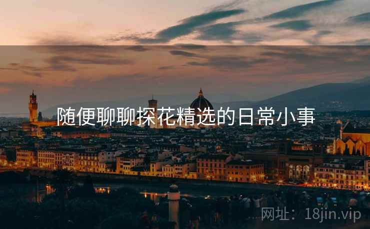 随便聊聊探花精选的日常小事